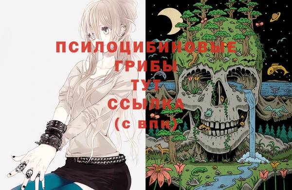 ГАЛЛЮЦИНОГЕННЫЕ ГРИБЫ Балабаново