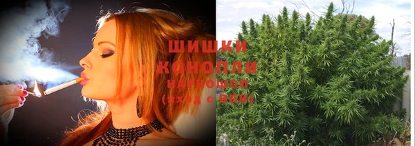 ГАЛЛЮЦИНОГЕННЫЕ ГРИБЫ Балабаново
