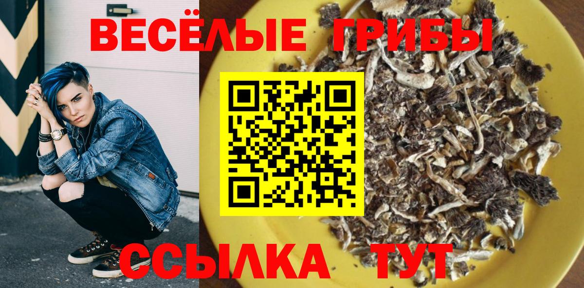Галлюциногенные грибы мицелий Барабинск